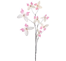 MARIPOSAS 68 CMS   2023-56