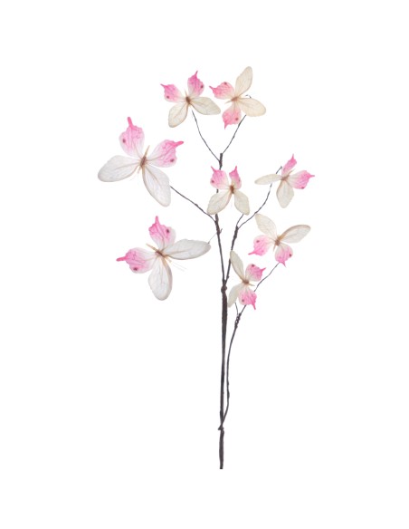 MARIPOSAS 68 CMS   2023-56