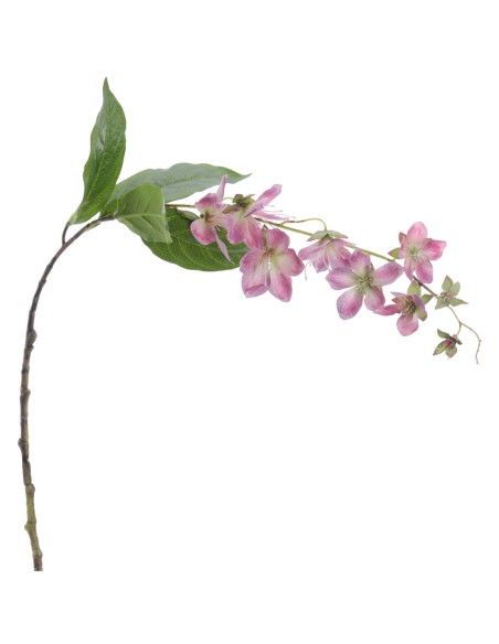 ROTHECA 78 CMS    2027-07