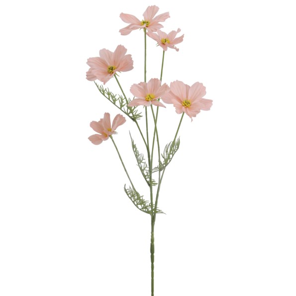 COSMOS COLECCION VERONA 72 CMS  2143-14