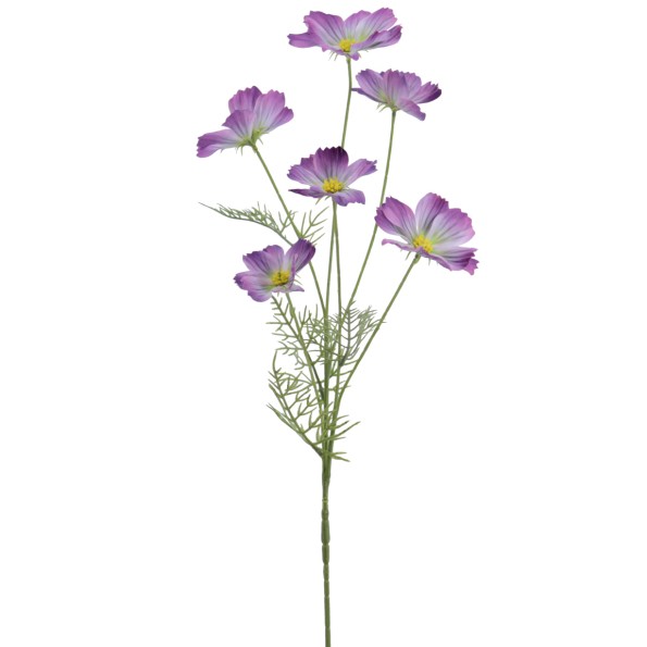 COSMOS COLECCION VERONA 72 CMS  2143-16