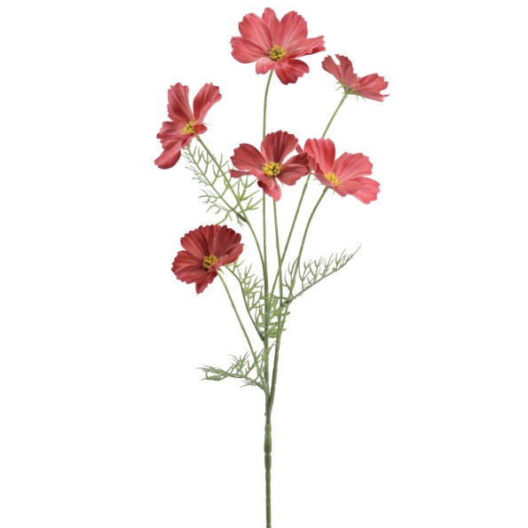 COSMOS COLECCION VERONA 72 CMS  2143-24