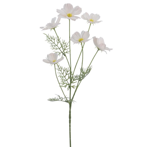 COSMOS COLECCION VERONA 72 CMS   2143-31