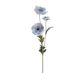 POPY 57 CMS   2156-10