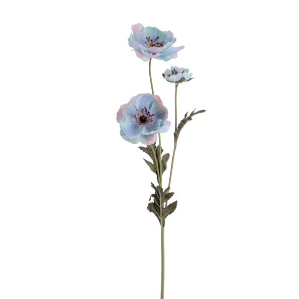 POPY 57 CMS   2156-10