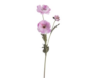 POPY 57 CMS   2156-25