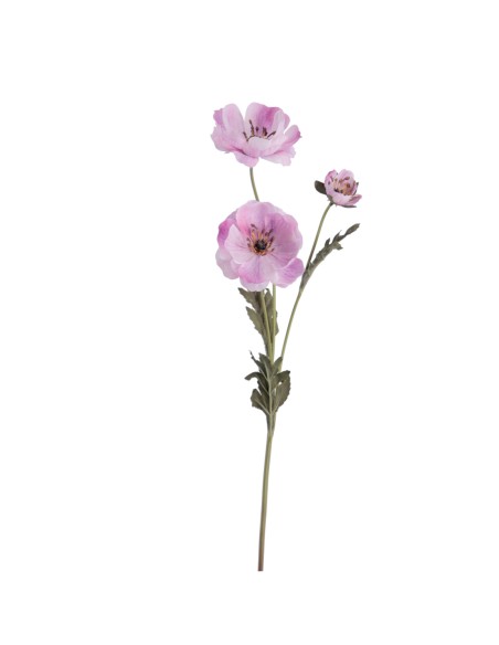 POPY 57 CMS   2156-25