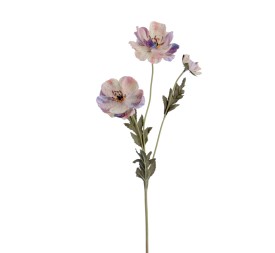 POPY 57 CMS                                                                                         2156-31