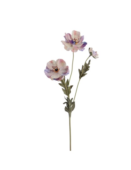 POPY 57 CMS  2156-51