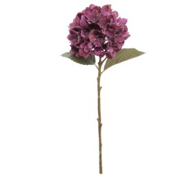 HYDRANGEA 50 CMS    2313-16
