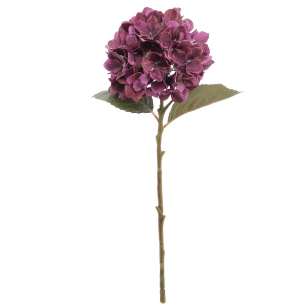 HYDRANGEA 50 CMS    2313-16