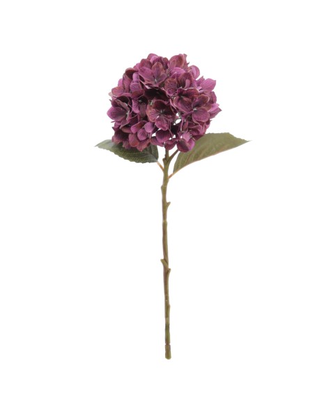 HYDRANGEA 50 CMS    2313-16
