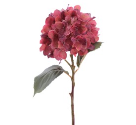 HYDRANGEA 50 CMS   2313-27