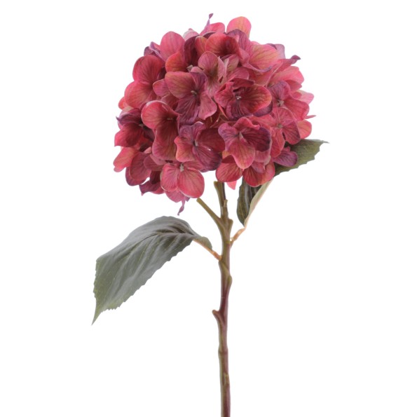 HYDRANGEA 50 CMS   2313-27