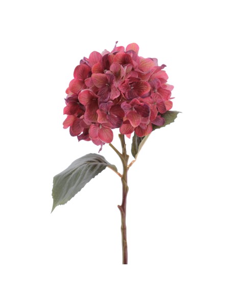 HYDRANGEA 50 CMS   2313-27