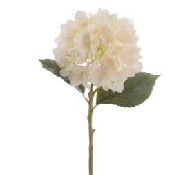 HYDRANGEA 50 CMS   2313-31