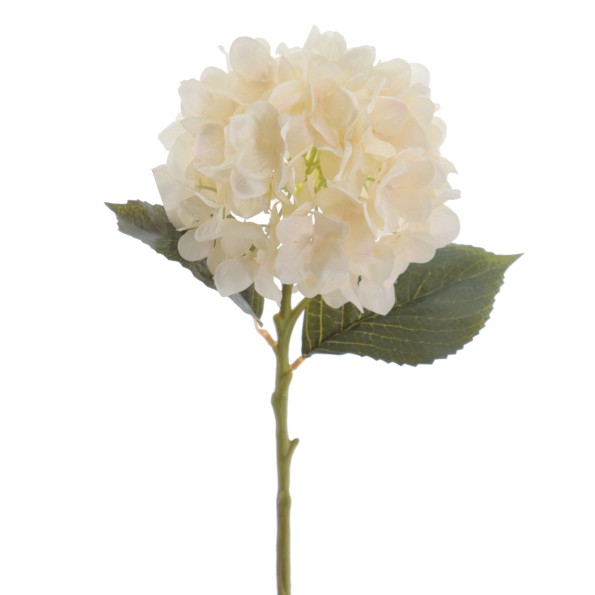 HYDRANGEA 50 CMS   2313-31