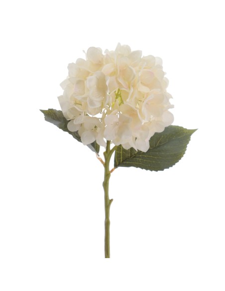 HYDRANGEA 50 CMS   2313-31