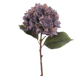 HYDRANGEA 50 CMS   2313-39