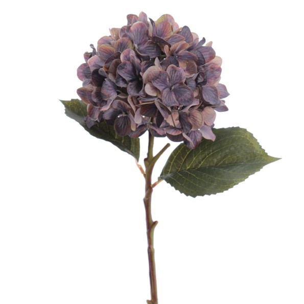 HYDRANGEA 50 CMS   2313-39