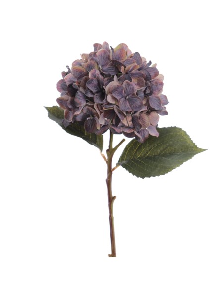 HYDRANGEA 50 CMS   2313-39