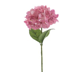 HORTENSIA    6933-06