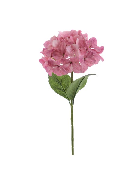 HORTENSIA    6933-06