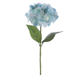 HORTENSIA      6933-10