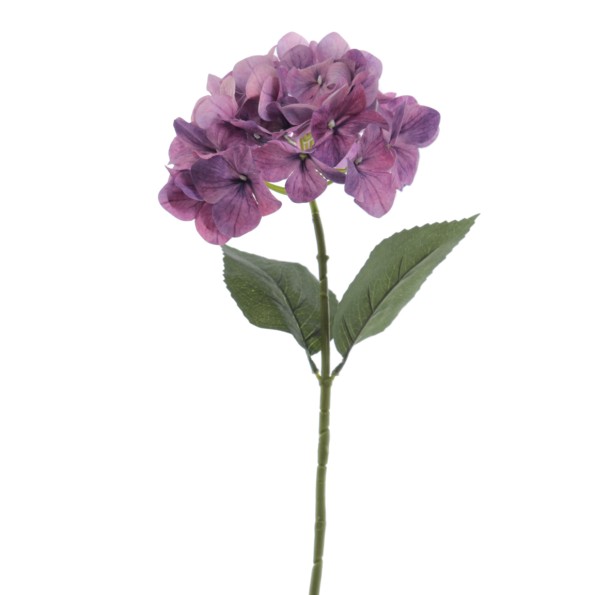 HORTENSIA   6933-16