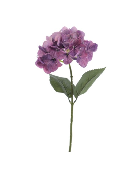 HORTENSIA   6933-16