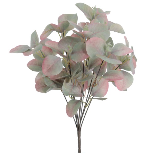 RAMO EUCALIPTUS                                                                                     8842-57