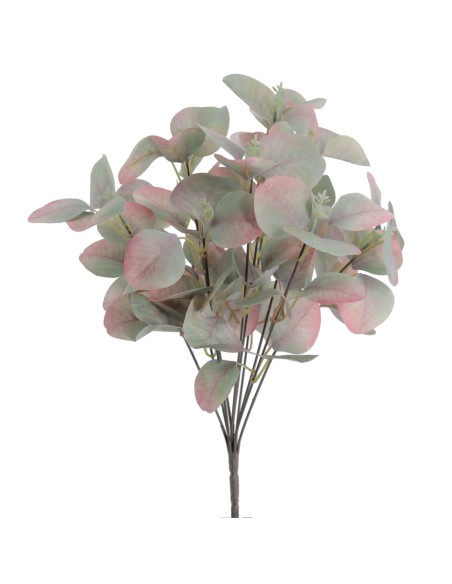 RAMO EUCALIPTUS                                                                                     8842-57