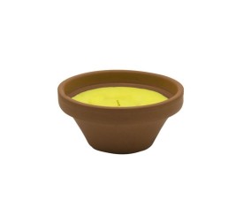 PLATO MINI TERRACOTA CITRONELA