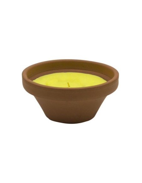 PLATO MINI TERRACOTA CITRONELA