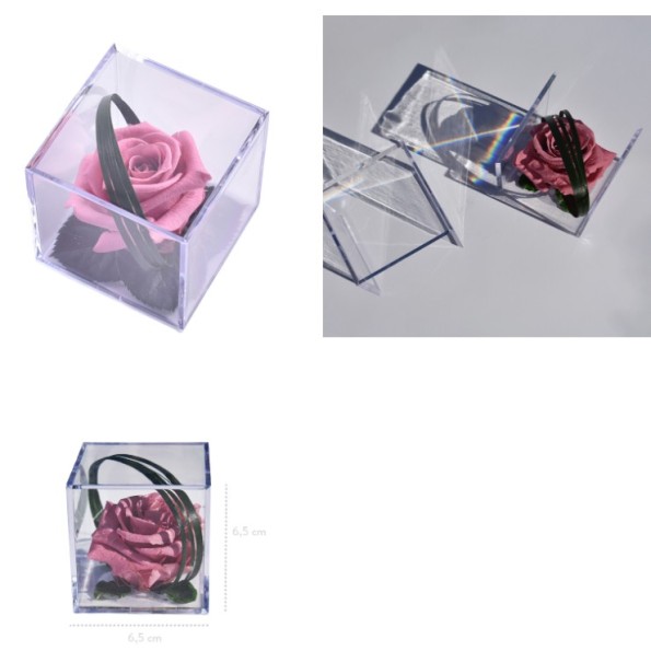 MELCHOR CHERRY BLOSSOM