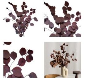 POPULUS AUTMMAL MOCHA COCOA 40/80