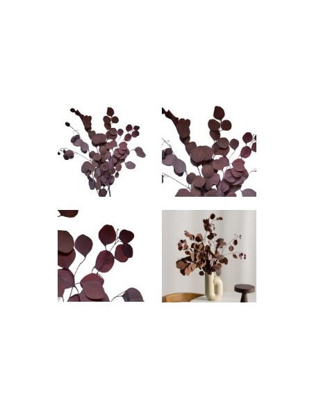 POPULUS AUTMMAL MOCHA COCOA 40/80