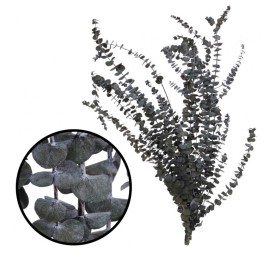 BABY BLUE GREEN 40/80