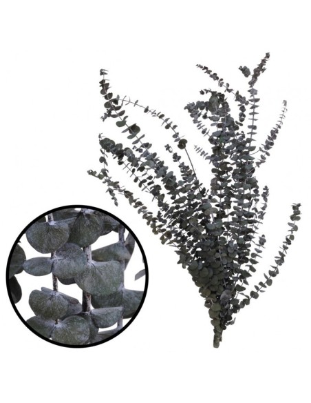 BABY BLUE GREEN 40/80