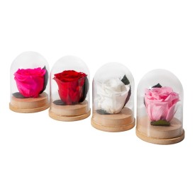 CLOCHE BASE BOIS ROSE QUEEN PASTEL