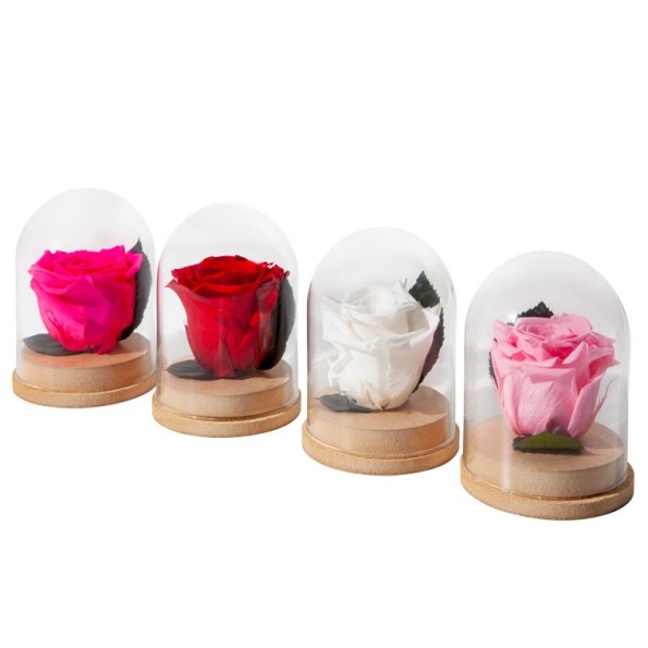 CLOCHE BASE BOIS ROSE QUEEN PASTEL