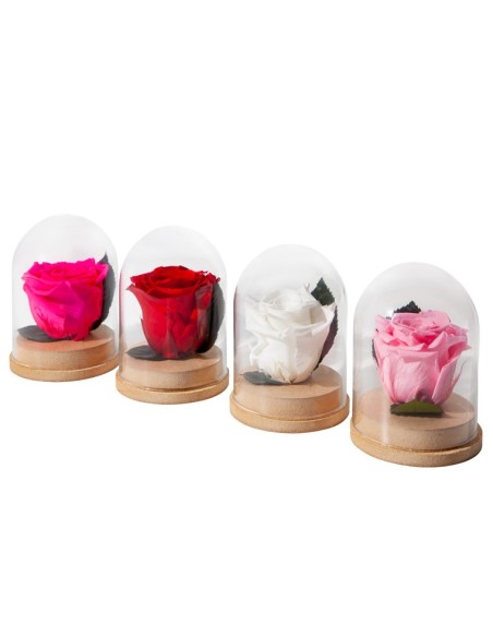 CLOCHE BASE BOIS ROSE QUEEN PASTEL