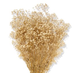 GYPSOFILA CREAM 40/60