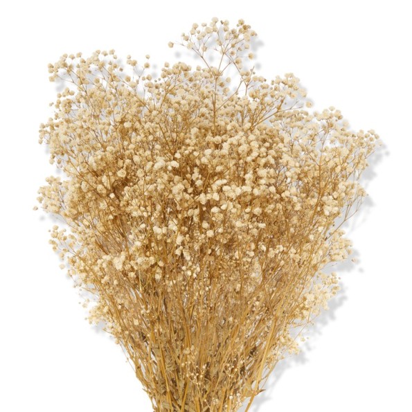 GYPSOFILA CREAM 40/60