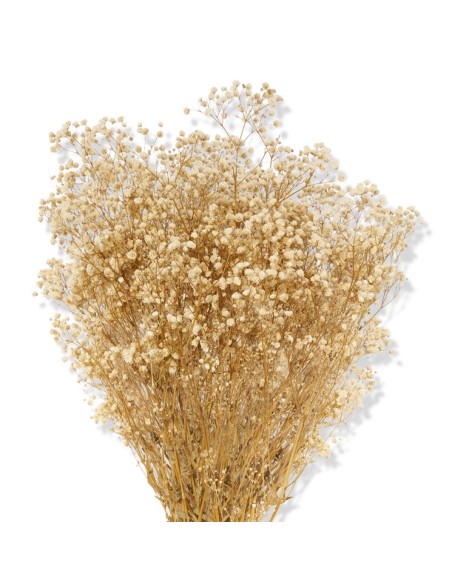 GYPSOFILA CREAM 40/60