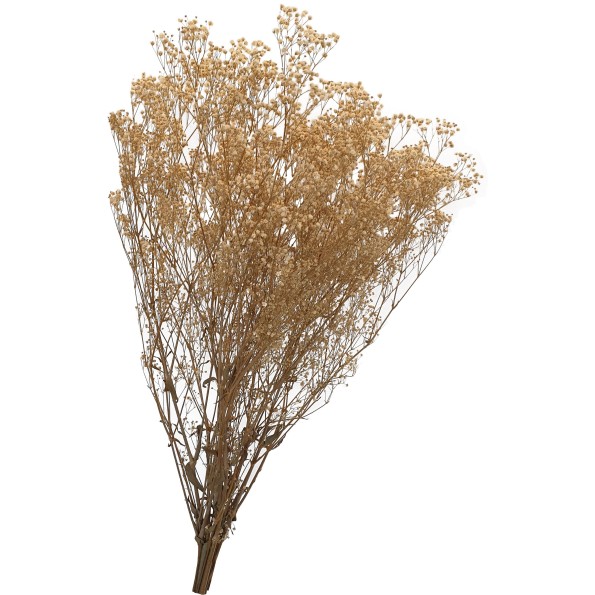 GYPSOFILA CREAM 40/60