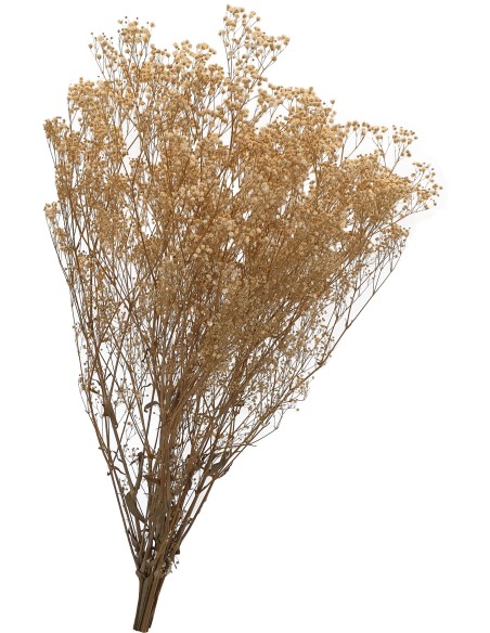 GYPSOFILA CREAM 40/60