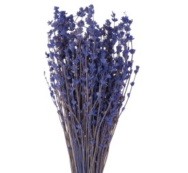 LAVENDER SOFT LIGHT NATURAL