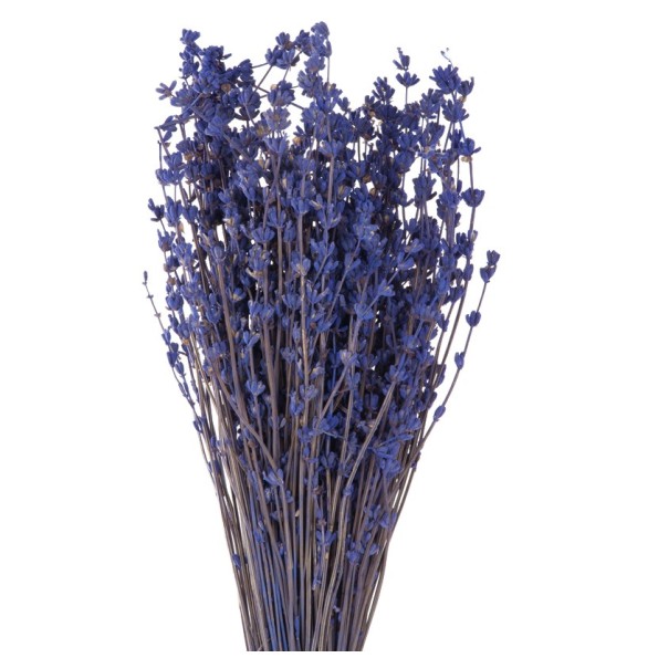 LAVENDER SOFT LIGHT NATURAL