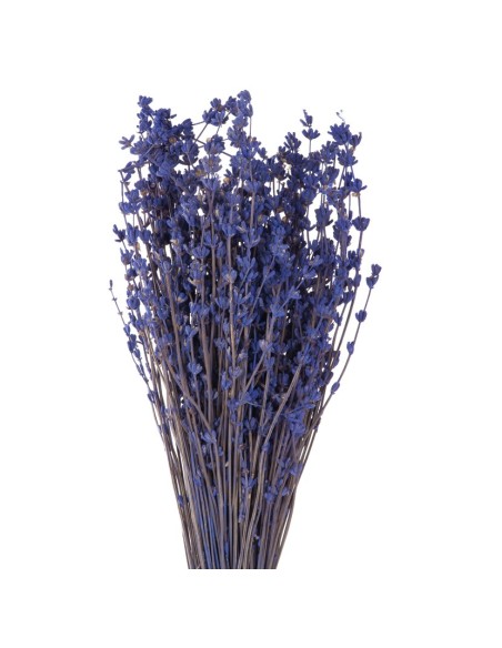 LAVENDER SOFT LIGHT NATURAL